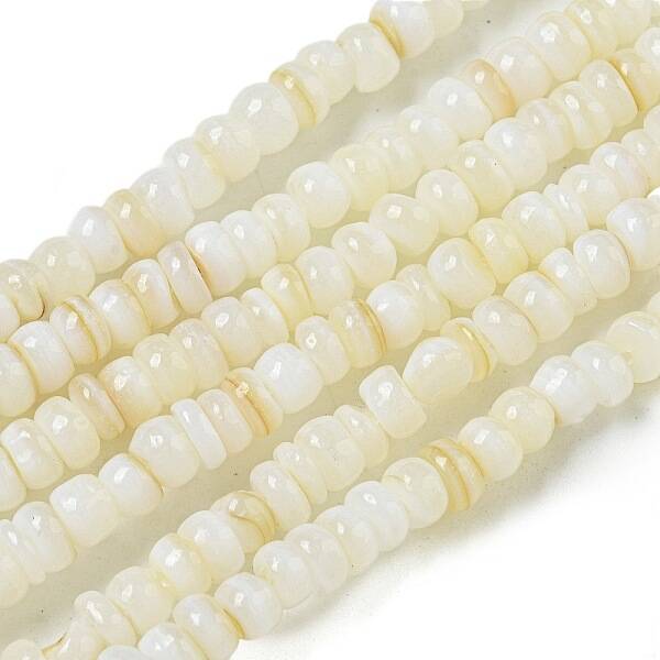 Dyed Natural Freshwater Shell Beads Strands
