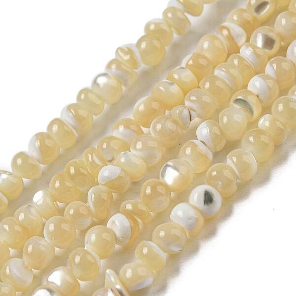 Natural Trochus Shell Beads Strands
