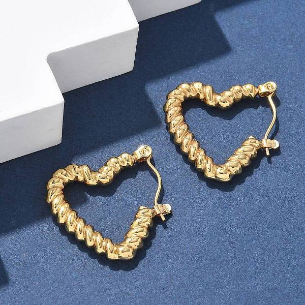 304 Stainless Steel Hoop Earrings for Women