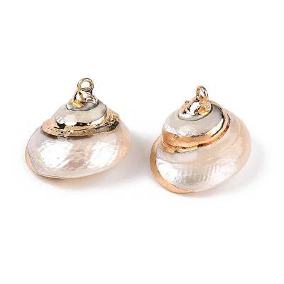 Natural Sea Shell Pendants