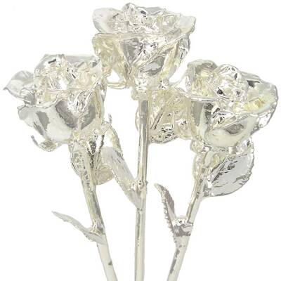 3 Past, Present, Future 11 Silver Dipped Roses