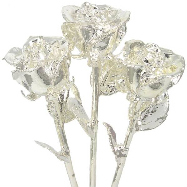 3 Past, Present, Future 11 Silver Dipped Roses