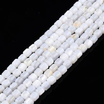 Natural Freshwater Shell Beads Strands