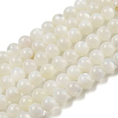 Natural Freshwater Shell Beads Strands