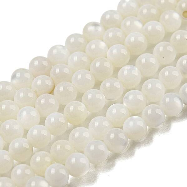 Natural Freshwater Shell Beads Strands
