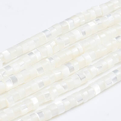 Natural Trochid Shell/Trochus Shell Beads Strands