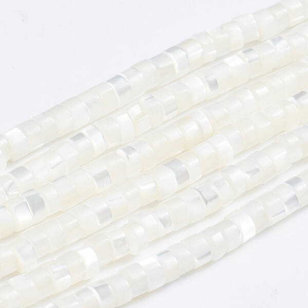 Natural Trochid Shell/Trochus Shell Beads Strands