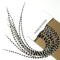 10 single long Feathers Ranging 7\