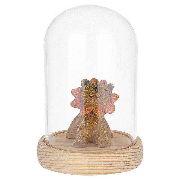 Glass Dome Cover