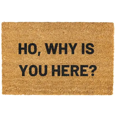 Ho why is you here Door mat, Funny, Decorative Mat, Who You Are, Welcome Mat, Funny Welcome Mat, Go Away Non-slip, Indoor, Ou...