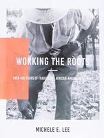 Working The Roots: Over 400 Years of Traditional African American Healing -- Michele Elizabeth Lee - Paperback