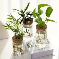 Glass Water Planting Vase, 1 Count Miniature Landscape Hydroponic Plant Vase, Plant Reproduction Stand, Home Decor for Living...