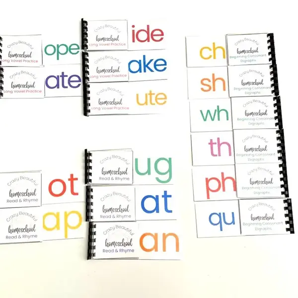 Flip book activity books SET of 16. Short vowel read and rhyme, long vowel and beginning consonant