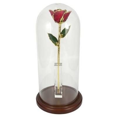 Enchanted 11 Gold Trimmed Rose