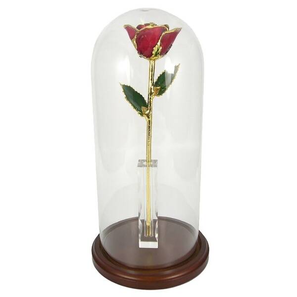 Enchanted 11 Gold Trimmed Rose