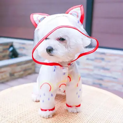 Clear Cute Design Pet Raincoat, Waterproof Pet Hooded Raincoat, 4-leg Hooded Dog Rain Coat Dogs Slicker with Touch Fastener, ...