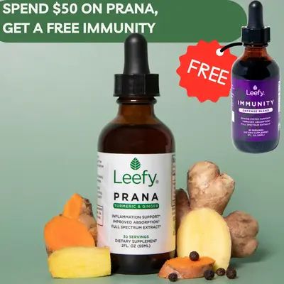 Leefy Organics PRANA Turmeric & Ginger Tincture - 100% Organic, Full Spectrum Extract, Enhanced Absorption with Black Pepper,...