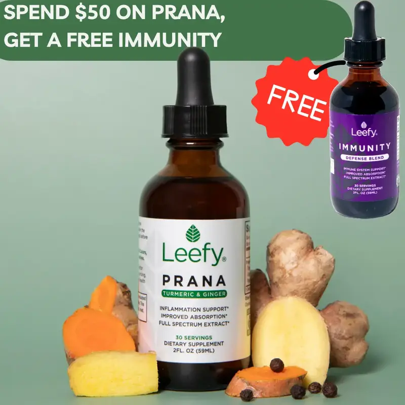 Leefy Organics PRANA Turmeric & Ginger Tincture - 100% Organic, Full Spectrum Extract, Enhanced Absorption with Black Pepper,...