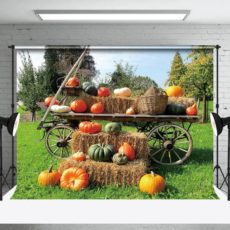 Pumpkin Wooden Cart Orchard Outdoor Photo Backdrop - Aperturee