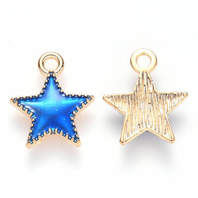 Alloy Enamel Charms