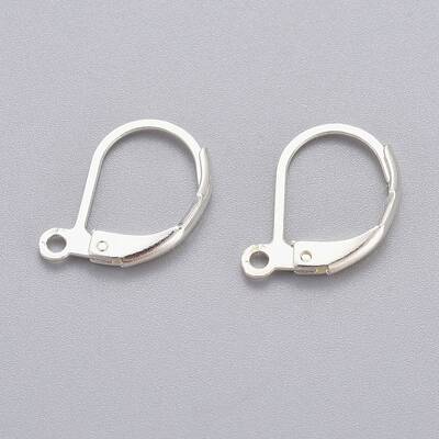 304 Stainless Steel Leverback Earring Findings