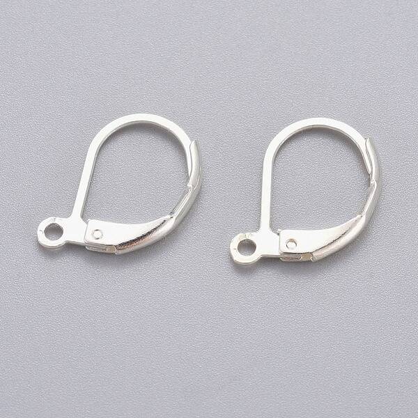 304 Stainless Steel Leverback Earring Findings