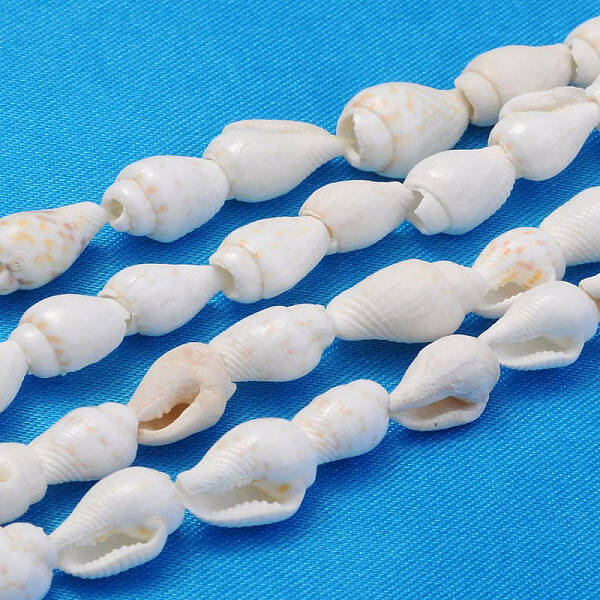 Natural Trumpet Shell Beads Strands