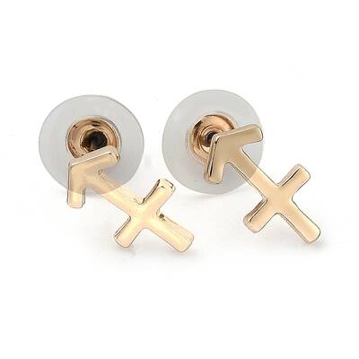 12 Constellation/Zodiac Sign Alloy Stud Earrings