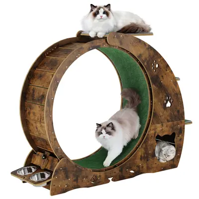 Garvee Large 55 Cat Exercise Wheel for Indoor Cats - 3-Tier Climbing Tower with Built-in Graze Post & Carpeted Fashion Show ...