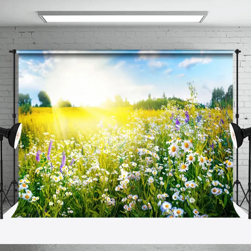 Warm Sunlight Daisy Yellow Photo Spring Backdrop - Aperturee
