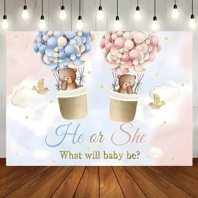 Pink Blue Cloud Bear Boho Gender Reveal Backdrop - Aperturee