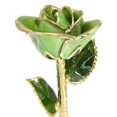 24k Gold Trimmed Rose: 11 Light Green Rose