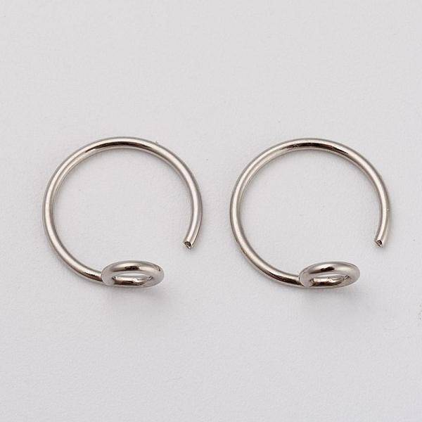 Tarnish Resistant 316L Surgical Stainless Steel Earring Hooks