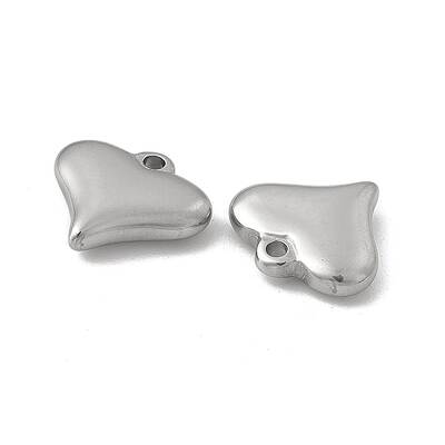 Non-Tarnish 201 Stainless Steel Charms