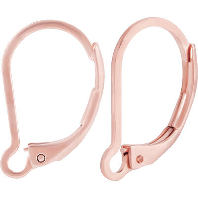 50Pcs 304 Stainless Steel Leverback Earring Findings