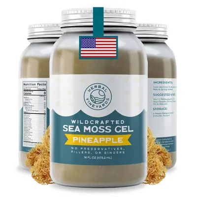 Herbal Vineyards Wildcrafted Pineapple Sea Moss Gel 16 Oz Jar - Made with Dried Seaweed & Fresh Sea Vegetables, Seamoss - Mad...