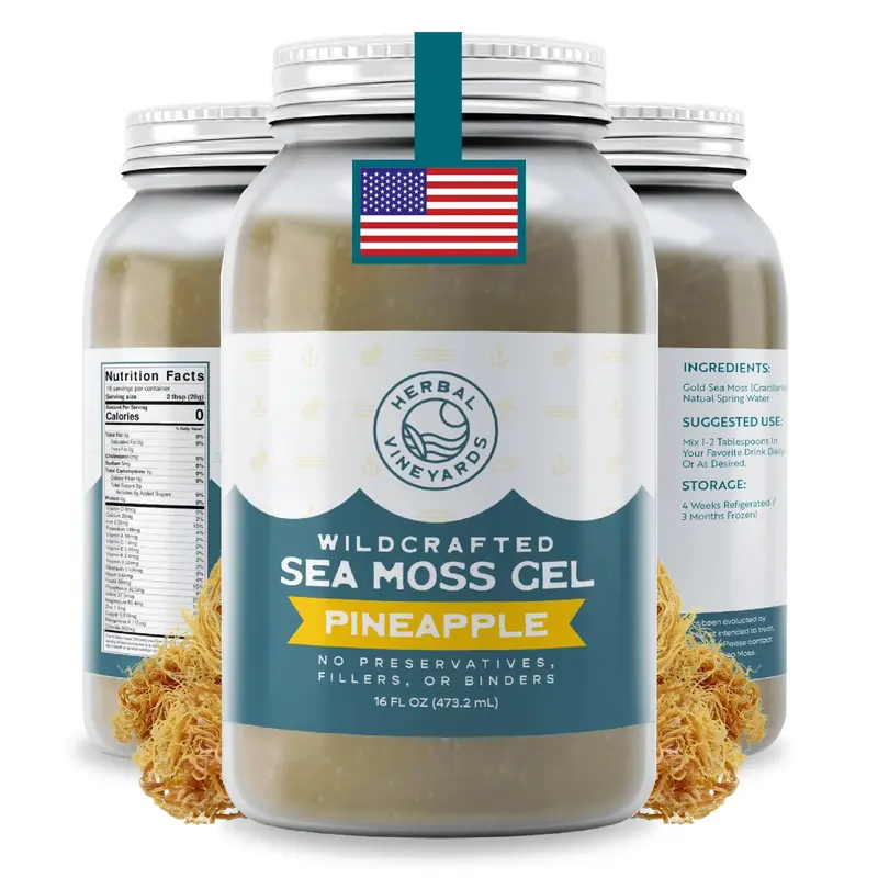 Herbal Vineyards Wildcrafted Pineapple Sea Moss Gel 16 Oz Jar - Made with Dried Seaweed & Fresh Sea Vegetables, Seamoss - Mad...