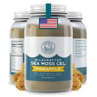 Herbal Vineyards Wildcrafted Pineapple Sea Moss Gel 16 Oz Jar - Made with Dried Seaweed & Fresh Sea Vegetables, Seamoss - Mad...
