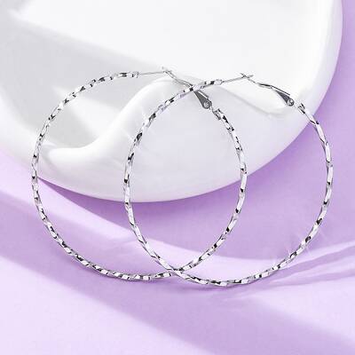 304 Stainless Steel Hoop Earrings
