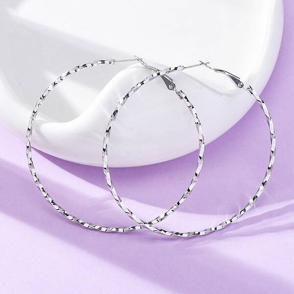 304 Stainless Steel Hoop Earrings