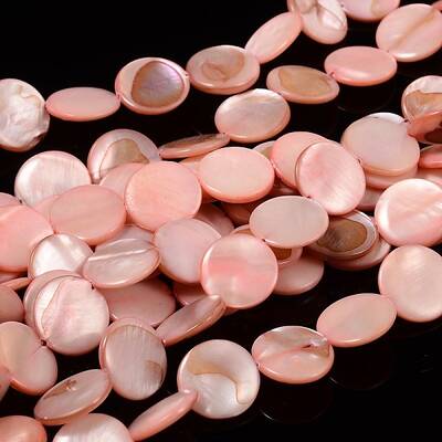 Natural Shell Beads Strands