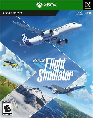 Flight Simulator