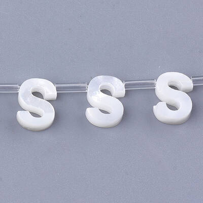 Natural Sea Shell Beads