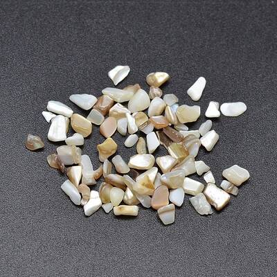 Dyed Natural Freshwater Shell Chips Beads