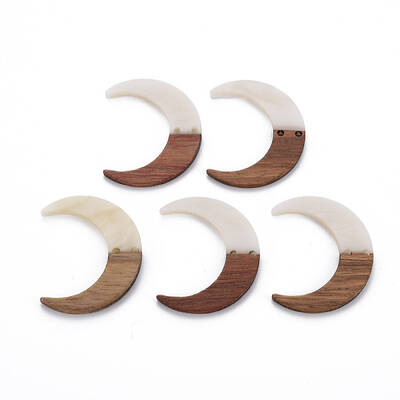 2-Hole Resin & Walnut Wood Buttons
