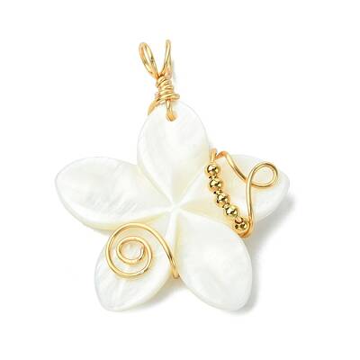 Natural Carved Freshwater Shell Pendants