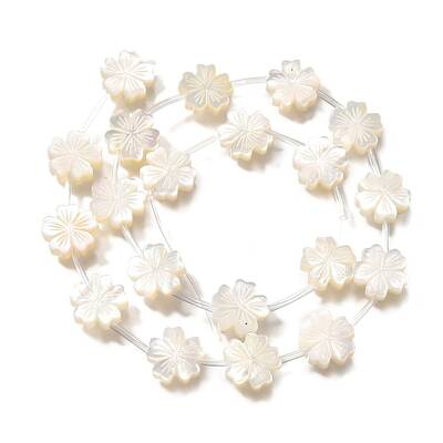 Natural White Shell Beads
