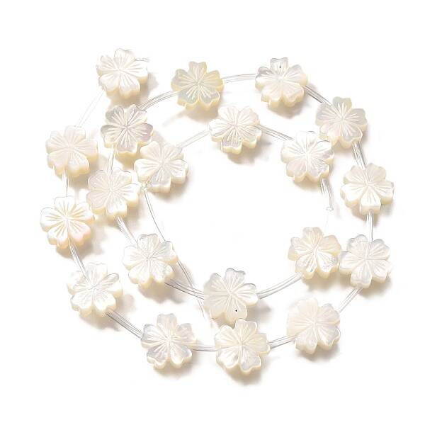 Natural White Shell Beads