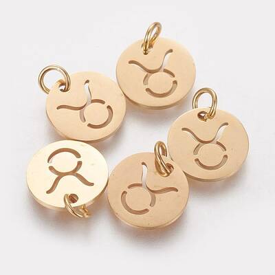 304 Stainless Steel Charms