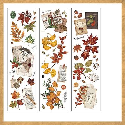 6Pcs 3 Styles PET Stickers